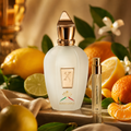 Xerjoff 1861 Renaissance 5 ml sample